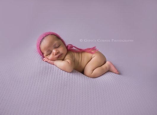 wny-newborn-photographer-purple-and-pink-gypsys-corner-photography-30web
