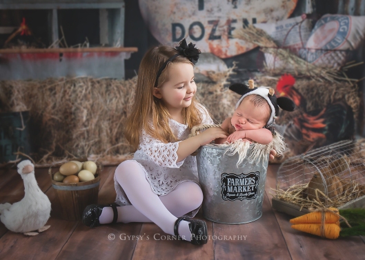 Buffalo Newborn Photographer| Little Cow    |Gypsy's Corner Photography