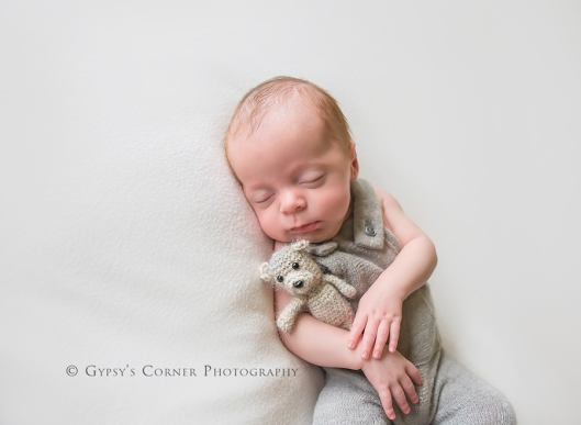 Buffalo NY Newborn Photographer| Baby boy with teddy bear|Gypsy's Corner Photography-33Web