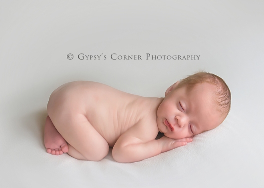 Buffalo NY Newborn Photographer| Newborn baby boy|Gypsy's Corner Photography